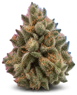AI-generated illustration of a cannabis flower for the First Ascent page, not a photo of the strain