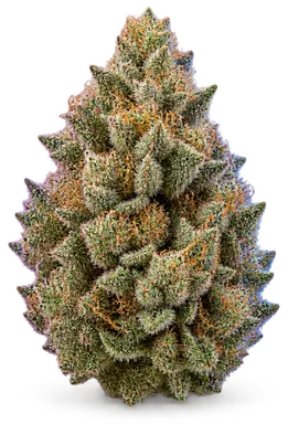 AI-generated illustration of a cannabis flower for the First Class Funk page, not a photo of the strain