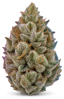 AI-generated illustration of a cannabis flower for the Flaming Cookies page, not a photo of the strain