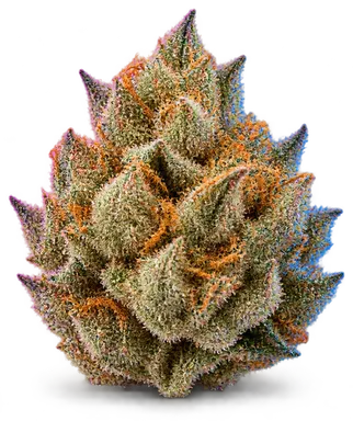 AI-generated illustration of a cannabis flower for the Flavor Crystals page, not a photo of the strain