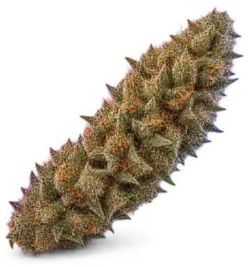 AI-generated illustration of a cannabis flower for the Flower-Mimosa page, not a photo of the strain