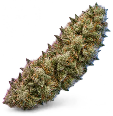 AI-generated illustration of a cannabis flower for the Forbidos page, not a photo of the strain