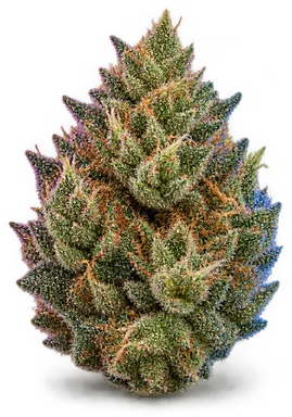 AI-generated illustration of a cannabis flower for the French Toast 1 page, not a photo of the strain