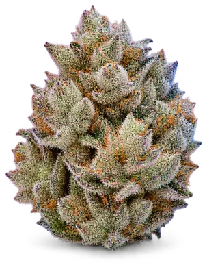 AI-generated illustration of a cannabis flower for the Frosted Acai page, not a photo of the strain