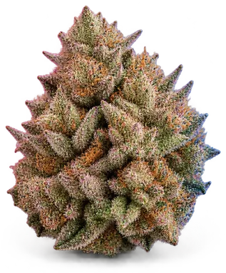 AI-generated illustration of a cannabis flower for the Frosted Cherry Cookies page, not a photo of the strain