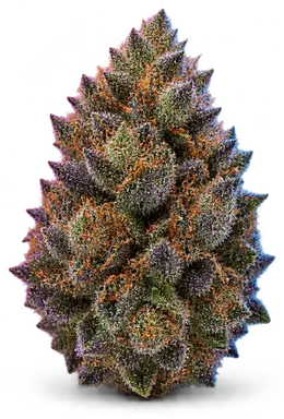 AI-generated illustration of a cannabis flower for the Frozen Grapes page, not a photo of the strain