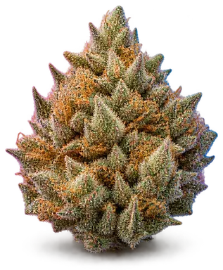 AI-generated illustration of a cannabis flower for the Fruity P page, not a photo of the strain