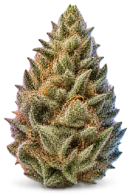 AI-generated illustration of a cannabis flower for the Fruity Pebbles page, not a photo of the strain