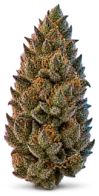 AI-generated illustration of a cannabis flower for the Frutty P OG page, not a photo of the strain