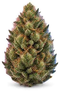 AI-generated illustration of a cannabis flower for the Funeral Cake page, not a photo of the strain