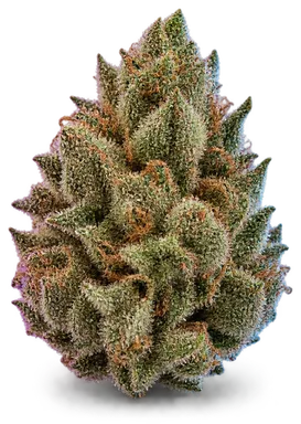 AI-generated illustration of a cannabis flower for the Funk Fetti page, not a photo of the strain