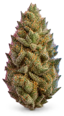 AI-generated illustration of a cannabis flower for the Garlic Breath page, not a photo of the strain