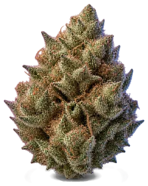 AI-generated illustration of a cannabis flower for the Garlic Cookies page, not a photo of the strain