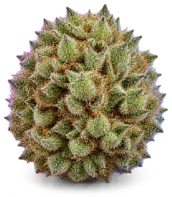 AI-generated illustration of a cannabis flower for the Garlic Mints page, not a photo of the strain