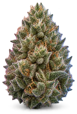 AI-generated illustration of a cannabis flower for the Gary Payton page, not a photo of the strain
