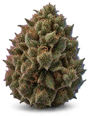 AI-generated illustration of a cannabis flower for the Gary Poppins page, not a photo of the strain