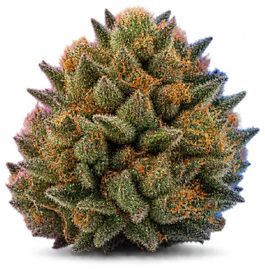 AI-generated illustration of a cannabis flower for the Gas Basket page, not a photo of the strain