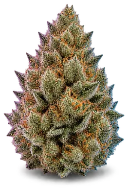 AI-generated illustration of a cannabis flower for the Gas Face page, not a photo of the strain