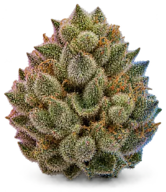 AI-generated illustration of a cannabis flower for the Gas Leak page, not a photo of the strain