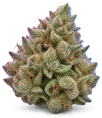 AI-generated illustration of a cannabis flower for the Gas Tanker page, not a photo of the strain