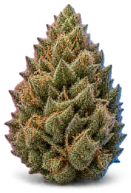 AI-generated illustration of a cannabis flower for the GBB page, not a photo of the strain