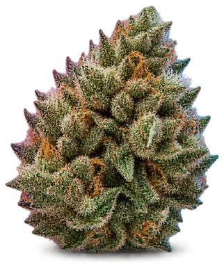 AI-generated illustration of a cannabis flower for the Gelato 41 page, not a photo of the strain