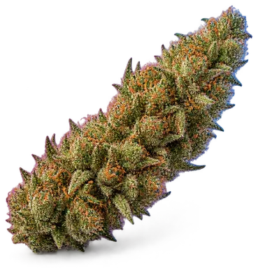 AI-generated illustration of a cannabis flower for the Gelato Cake 1 page, not a photo of the strain