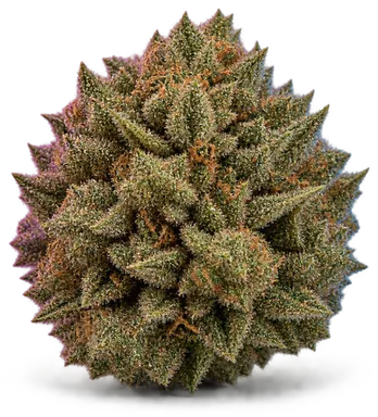 AI-generated illustration of a cannabis flower for the Gelato Funk page, not a photo of the strain