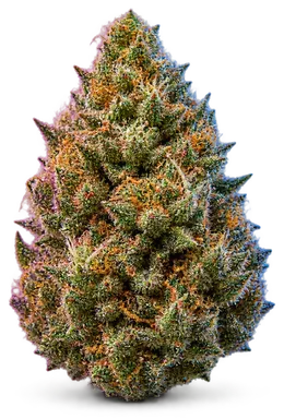 AI-generated illustration of a cannabis flower for the Gelato Hybrid page, not a photo of the strain