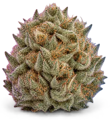 AI-generated illustration of a cannabis flower for the Gelato Ice Cream Cake page, not a photo of the strain