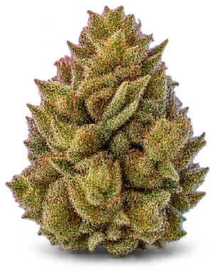AI-generated illustration of a cannabis flower for the Gelato Sherbert page, not a photo of the strain