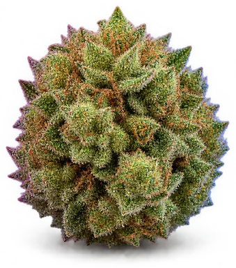 AI-generated illustration of a cannabis flower for the Gelato X Kush Mints page, not a photo of the strain