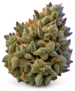 AI-generated illustration of a cannabis flower for the Gelatti Driver page, not a photo of the strain