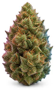 AI-generated illustration of a cannabis flower for the Gelonade page, not a photo of the strain