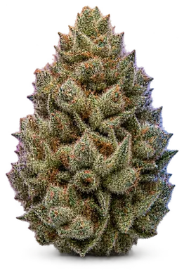 AI-generated illustration of a cannabis flower for the Georgia Pie page, not a photo of the strain