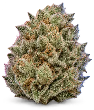 AI-generated illustration of a cannabis flower for the Georgia Pie X Project page, not a photo of the strain