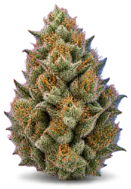 AI-generated illustration of a cannabis flower for the Georgia Piez page, not a photo of the strain