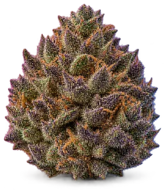 AI-generated illustration of a cannabis flower for the Ghost Berry page, not a photo of the strain