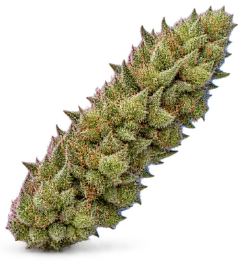 AI-generated illustration of a cannabis flower for the Ghost Train Haze page, not a photo of the strain