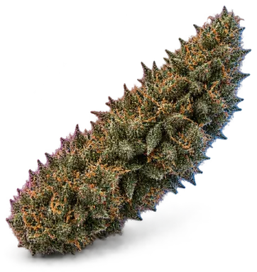 AI-generated illustration of a cannabis flower for the Glueball page, not a photo of the strain