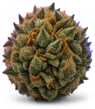 AI-generated illustration of a cannabis flower for the Gluechee page, not a photo of the strain