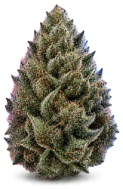 AI-generated illustration of a cannabis flower for the Glue On Fire page, not a photo of the strain