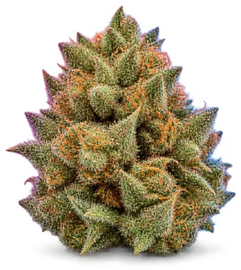 AI-generated illustration of a cannabis flower for the Goat Gas page, not a photo of the strain