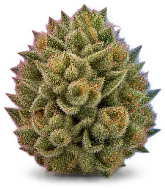 AI-generated illustration of a cannabis flower for the God's Breath page, not a photo of the strain