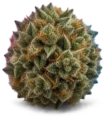 AI-generated illustration of a cannabis flower for the God's Gift page, not a photo of the strain