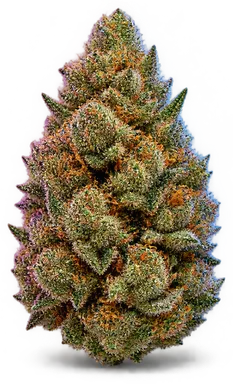 AI-generated illustration of a cannabis flower for the Gog page, not a photo of the strain