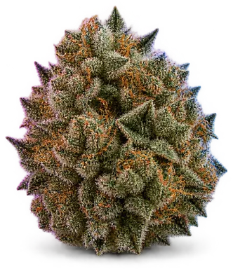 AI-generated illustration of a cannabis flower for the Goji OG page, not a photo of the strain