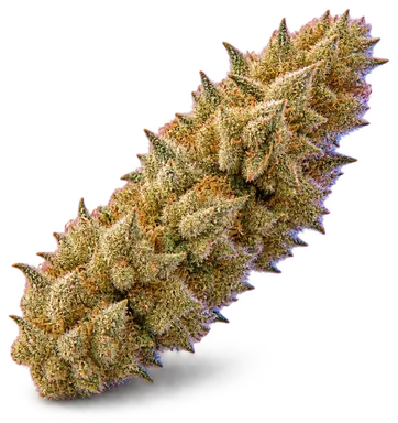 AI-generated illustration of a cannabis flower for the Golden Dream page, not a photo of the strain