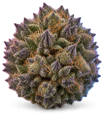 AI-generated illustration of a cannabis flower for the Golden Grapes page, not a photo of the strain