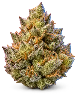 AI-generated illustration of a cannabis flower for the Golden Ticket page, not a photo of the strain
